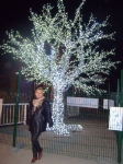 zabka67-ja-z-romantycznym-drzewem