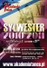 Sylwester 2010/2011